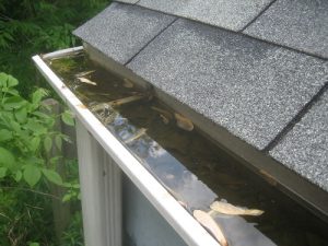 I cleaned Rob's Gutters today. They smelled really bad.