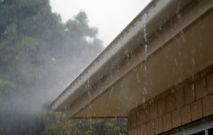 Gutters and Roof Maintenance 