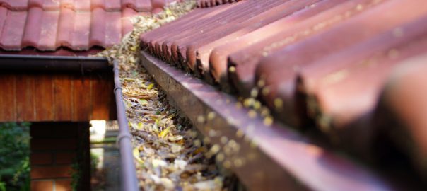 Fall Leaves In Gutter System