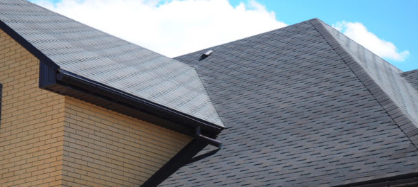 New Asphalt Shingle Roof