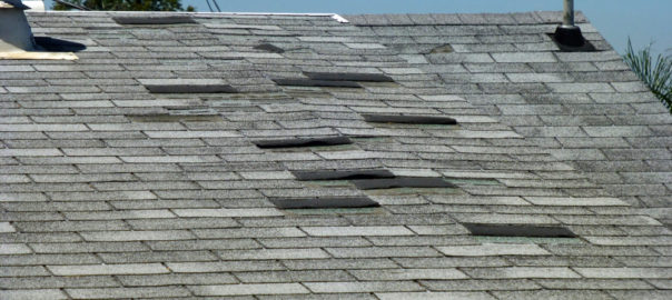 Old Asphalt Shingle Roof