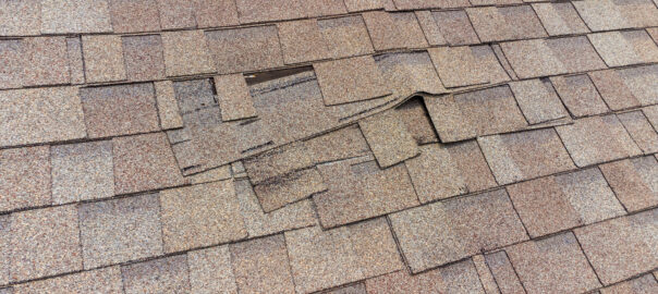 Roof Shingles damaged and in need of repair